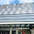 IMG_2203.jpg