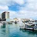 IMG_2193.jpg