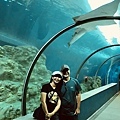 IMG_2233.JPG