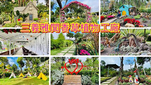 雅聞浪漫玫瑰花季,雅聞香草植物工廠,微森林狂想曲,小侏羅紀世界,月亮鞦韆,浪漫風車香草玫瑰園,落羽松大道,苗栗,三義鄉,玫瑰,森林,花季,打卡