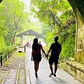 IMG_0793.jpg