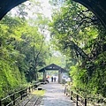 IMG_0828.jpg