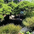 IMG_0852.jpg