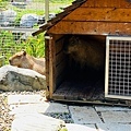 IMG_0856.jpg