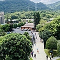 IMG_0909.jpg