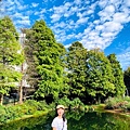 大IMG_1582.jpeg