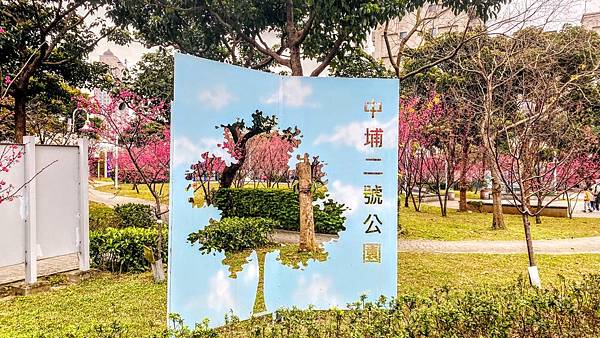 大IMG_1921 (1).jpeg