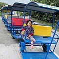 大IMG_1491.jpeg