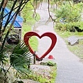 大IMG_1500.jpeg