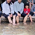 大IMG_1526.jpeg