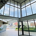 大IMG_2156.jpeg
