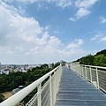 大IMG_0839.jpeg