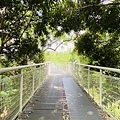 大IMG_0809.jpeg
