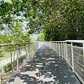 大IMG_0803.jpeg