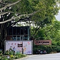 大IMG_0793.jpeg