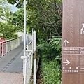 大IMG_0791.jpeg