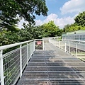 大IMG_0768.jpeg