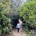 大IMG_6033.jpeg