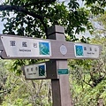 大IMG_6032.jpeg