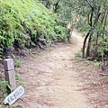 大IMG_6029.jpeg