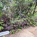 大IMG_6028.jpeg