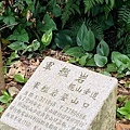 大IMG_6020.jpeg