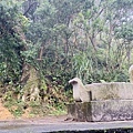 大IMG_0750.jpeg