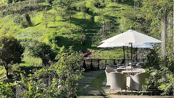 大IMG_0346 (1).jpeg