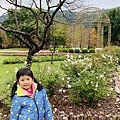 IMG_3161.jpg
