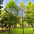 IMG_1495.jpg