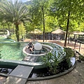 IMG_7458.JPG