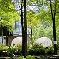 IMG_1631.jpg