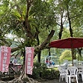IMG_3110.jpg
