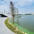 IMG_5606.jpg
