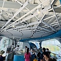 IMG_5648.jpg