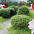 IMG_6377.jpg