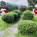 IMG_6378.jpg