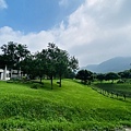 IMG_6382.jpg