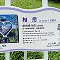 IMG_6386.jpg