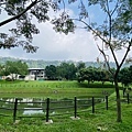 IMG_6388.jpg