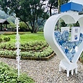 IMG_6390.jpg