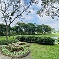 IMG_6391.jpg