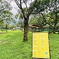 IMG_6394.jpg