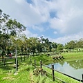 IMG_6397.jpg