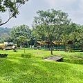 IMG_6399.jpg