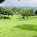 IMG_6401.jpg