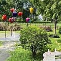IMG_6404.jpg