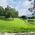 IMG_6406.jpg