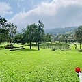 IMG_6407.jpg