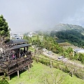 IMG_6419.jpg
